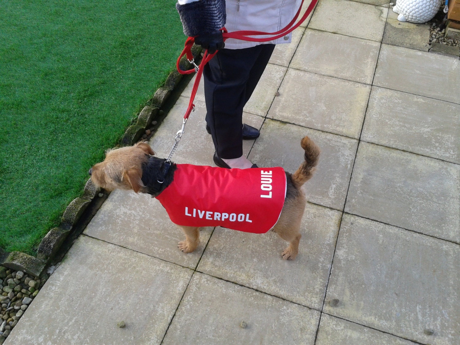 Liverpool Personalised Dog Coat size Small 14 ALL SIZES/