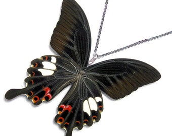 Real Butterfly Wing Necklace / Pendant (WHOLE Papilio Helenus - W082)