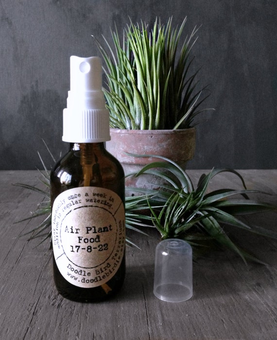 2 oz. Tillandsia Air Plant Food Spray Fertilizer by