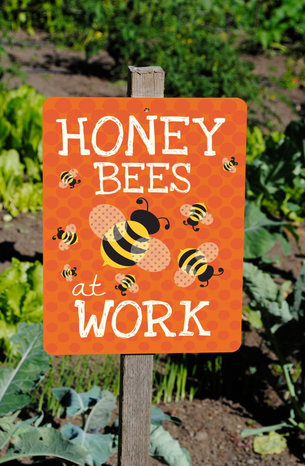 Honey Bees At Work Sign 9 X 12 tangerine by BainbridgeMercantile