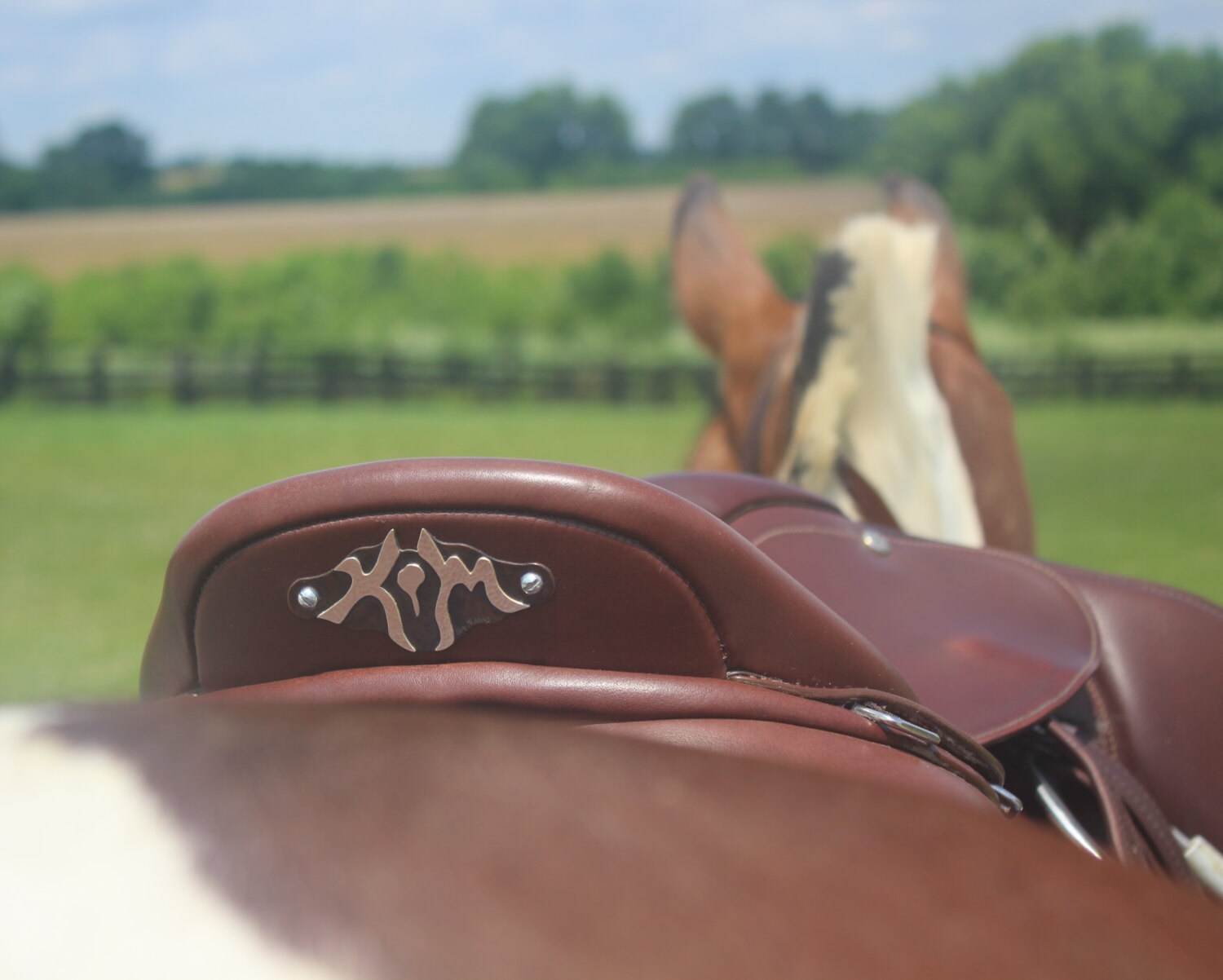 Saddle Plate Custom/Personalized Sterling Silver/Copper Horse
