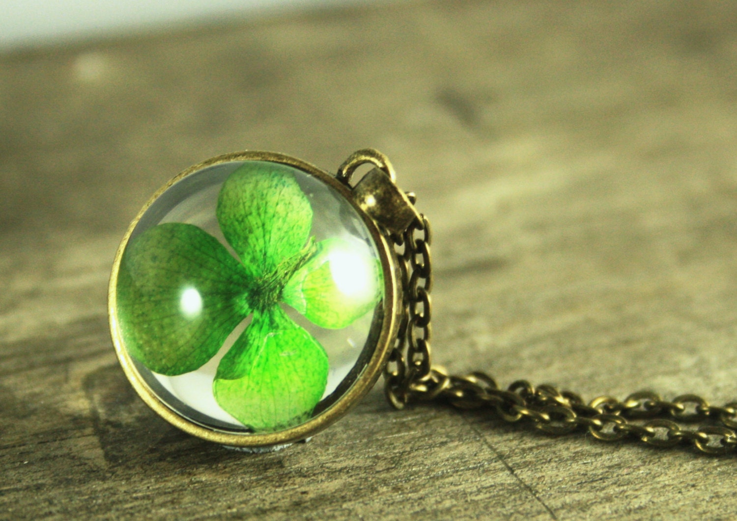 REAL four-leaf clover Necklace nature shamrock flower