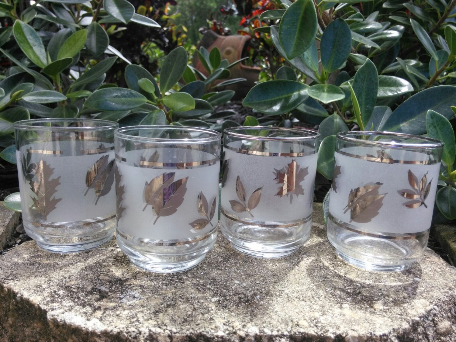 libbey silver leaf glassware