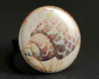Spotted Shell Ring. Beach Ring. Seashell Ring. Nature Ring. Sea Shell Ring. Adjustable Ring. Bronze Ring. Photo Button Ring. Handmade Ring.