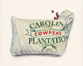 Cowpeas. Original egg tempera illustration from 'The Taste of America' book.