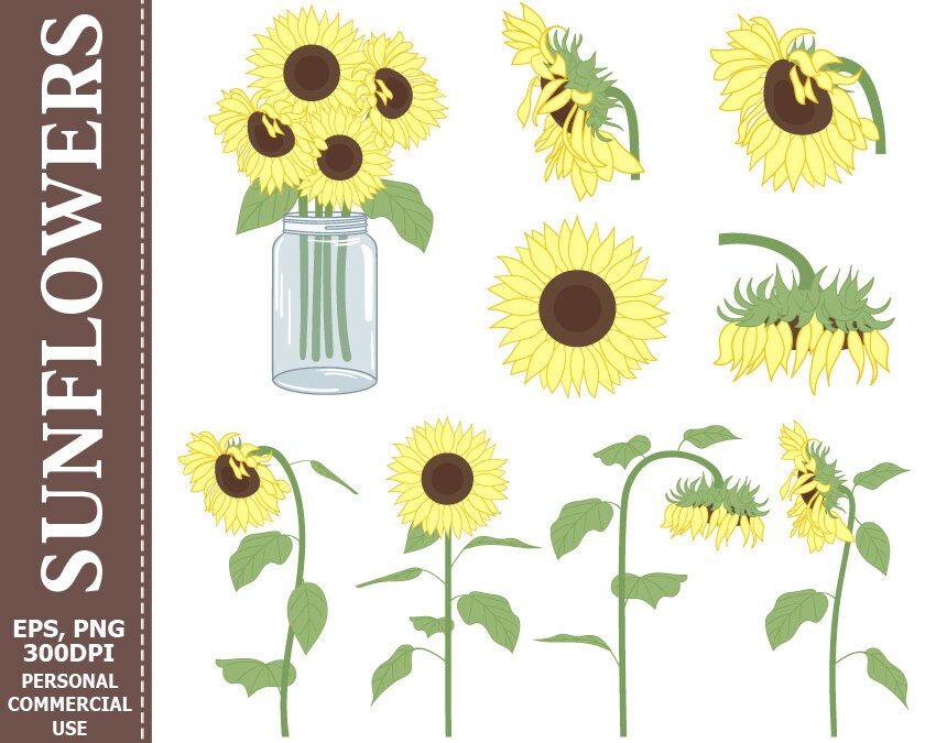 Download Digital Sunflowers Clip Art Yellow Sun Brown Flowers