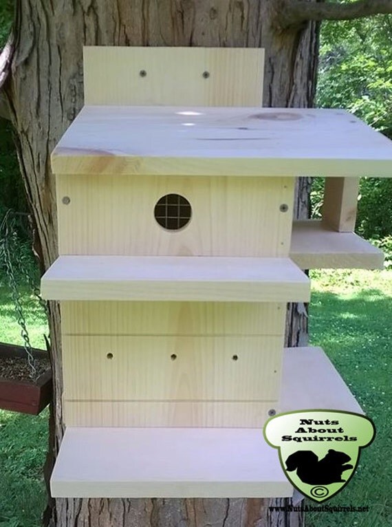 Squirrel Condo by NutsAboutSkwerls on Etsy