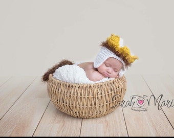 Max/Where the Wild Things Are costume/photography prop
