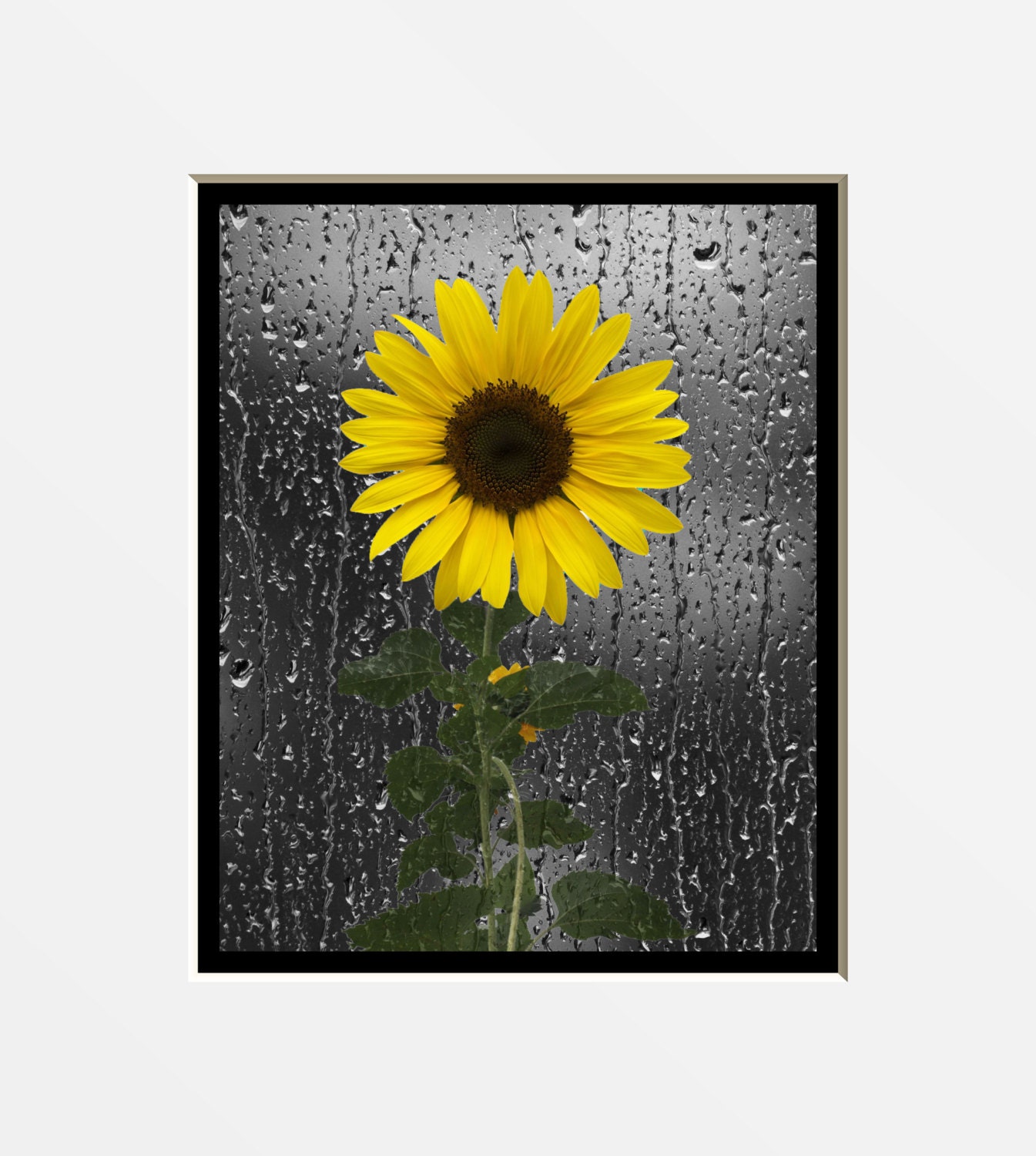 wall-decor-31-sunflower-art-images-decors-camdencharter