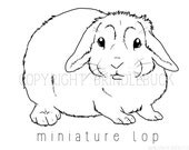 Items Similar Mini Lop Rabbit Coloring Page Downlaod Miniature Bunny