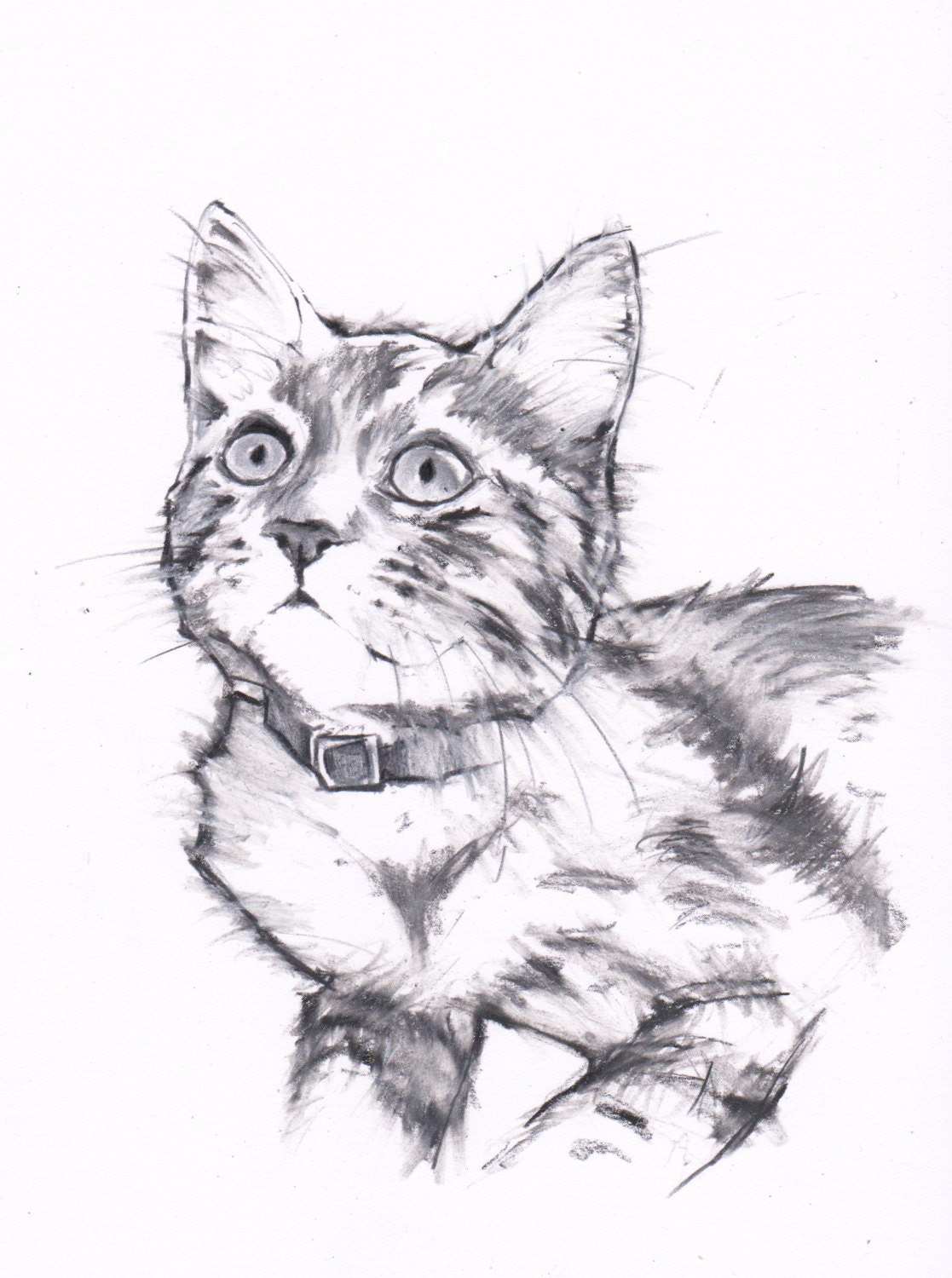 Original signed pencil drawing of tabby cat by JimGriffithsArt