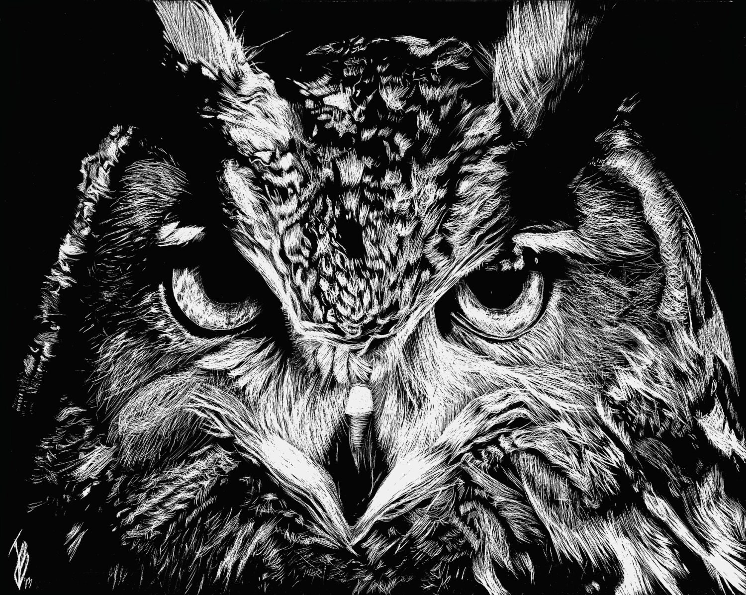 Scratchboard Owl
