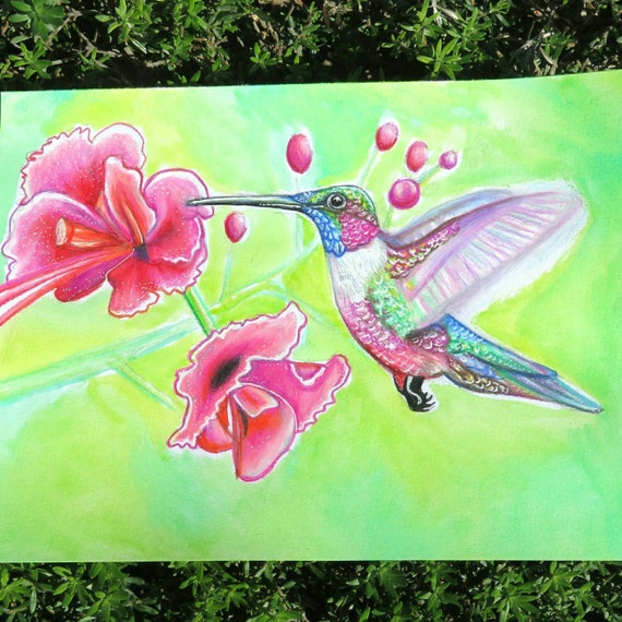 Colored Pencil Hummingbird Print by TheArtsyArmadillo on Etsy