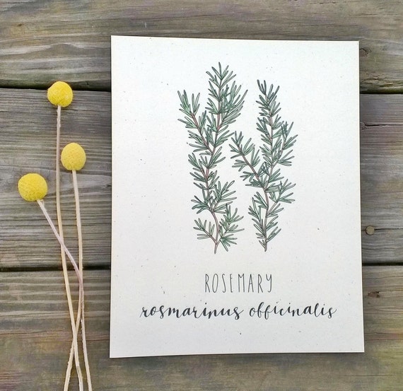 Kitchen Decor Rosemary Wall Art Rustic Herb Decor