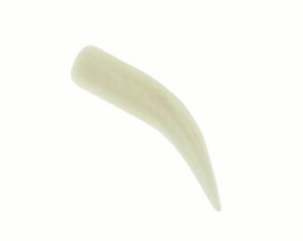 Genuine Bone Horn Pendant (12pcs)