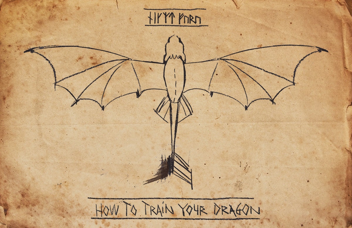 HOW to TRAIN your DRAGON Original Art by BlackSheepWhiteSheep