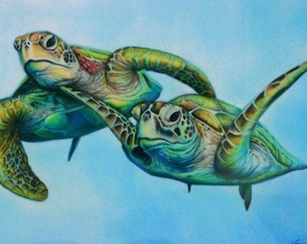 Limited Edition Sea Turtles Drawing Art Print