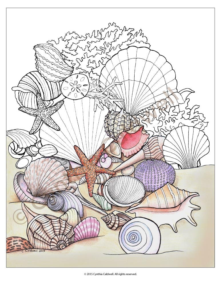 Download Seashells Coloring Page Instant Download