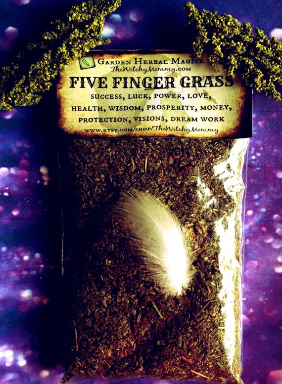 FIVE FINGER GRASS 1 oz Loose Herb aka Cinquefoil by TheWitchyMommy