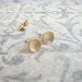 Gold disc studs , Gold circle post earrings , Brushed matt gold stud earrings , Handmade by Adi Yesod
