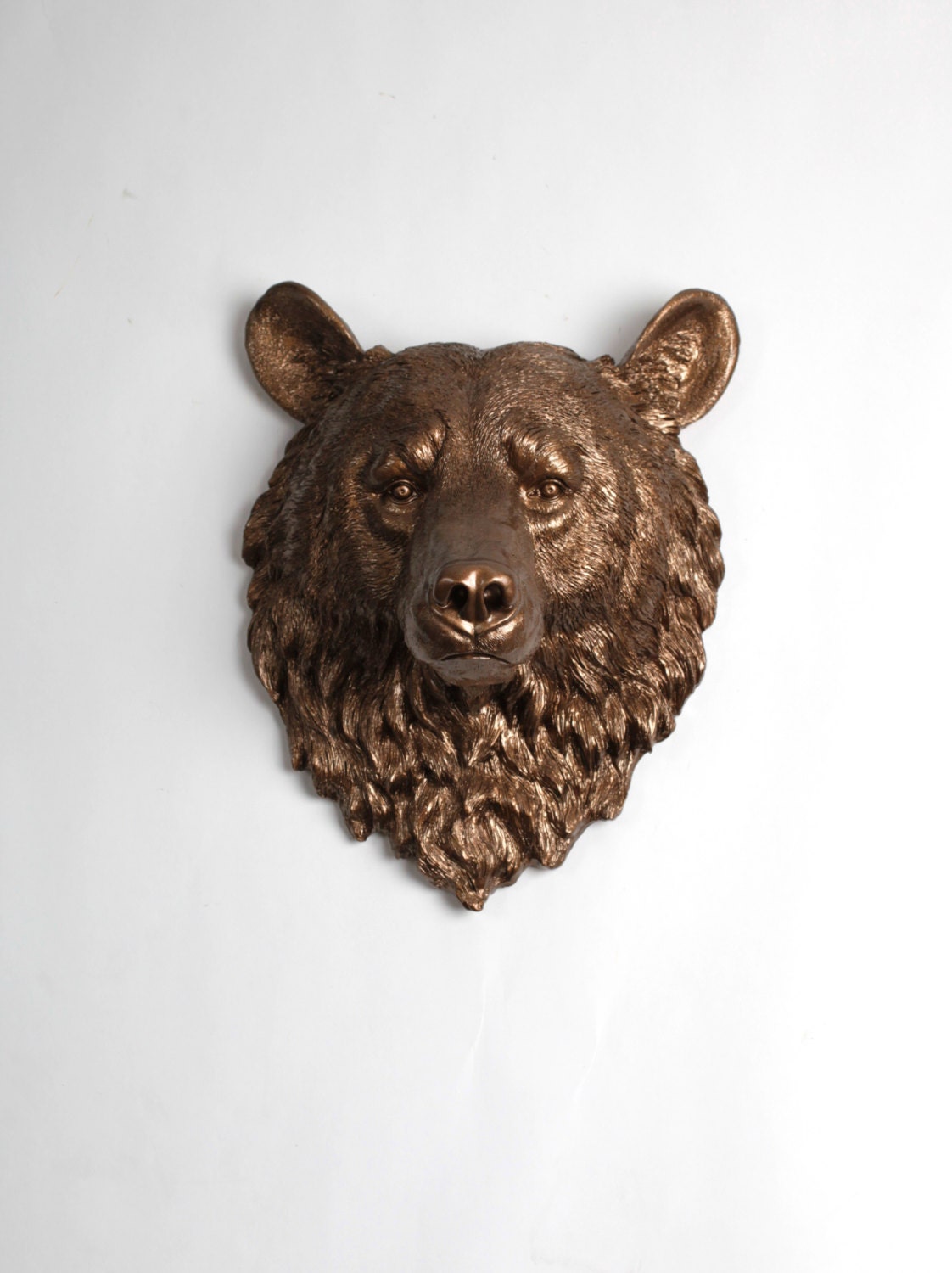 real bear head wall mount