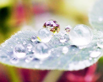 Charity of Your Choice, World Within a World, raindrop