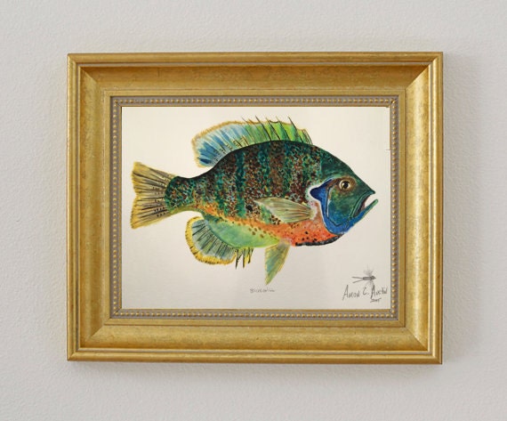 Items Similar To Original Fish Painting Bluegill 11 In X 15 In   Il 570xN.787565037 Sqrg 