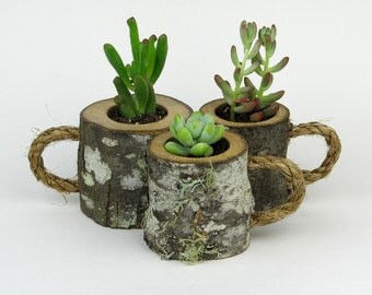 3 Rustic Succulent Planters Coffee Mugs Log Planter Cactus Holder Plant Pots Desk Small 3 Rustic Succulent Planters Coffee Mugs Log Planter Cactus Holder Plant Pots Desk Small
