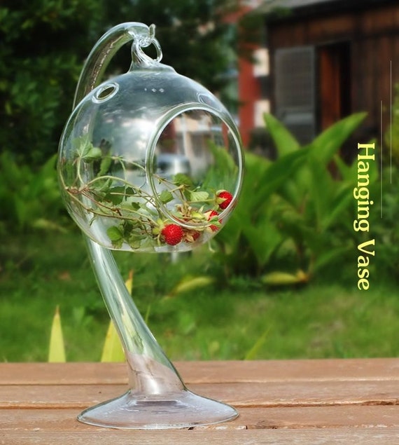 Hanging Glass Terrarium Globe / Terrarium by MicroLandscapeDesign