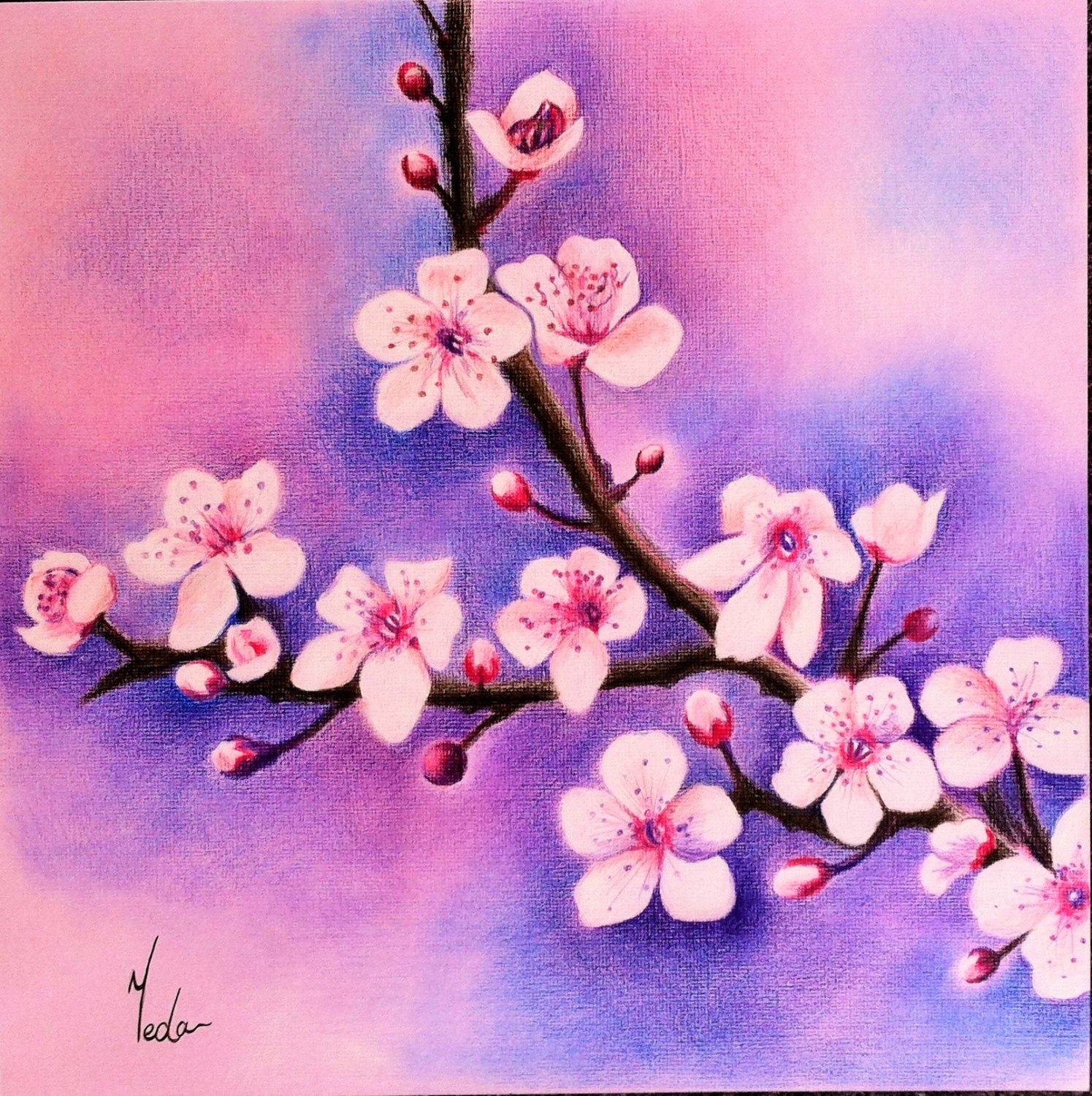 Cherry Blossoms Original Coloured Pencil Art Beautiful Flowers Wall Art Home Living Flower Drawing Pencil Drawings Of Flowers Pencil Drawings Of Nature