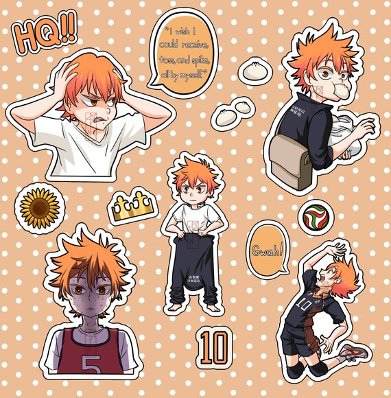 haikyuu dumbass hinata sticker set