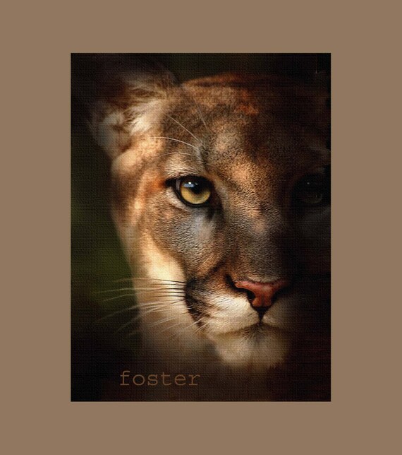 Mountain lion art mountain lion painting mountain by lewfoster