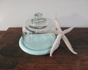 Glass Cloche With Wood Base, Light Blue Wooden Base Cloche