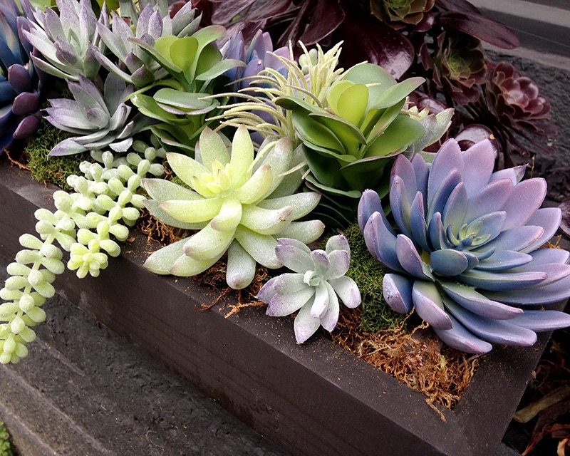 Faux succulent centerpiece succulent plants faux succulents