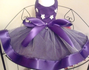 Pawdrey Hepburn Lace Doggie Dress