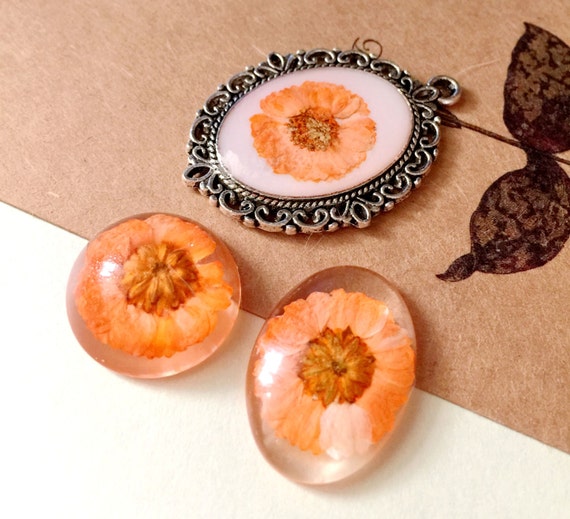 6pcs Handmade Transparent Resin Dipped Pressed Dry Flower