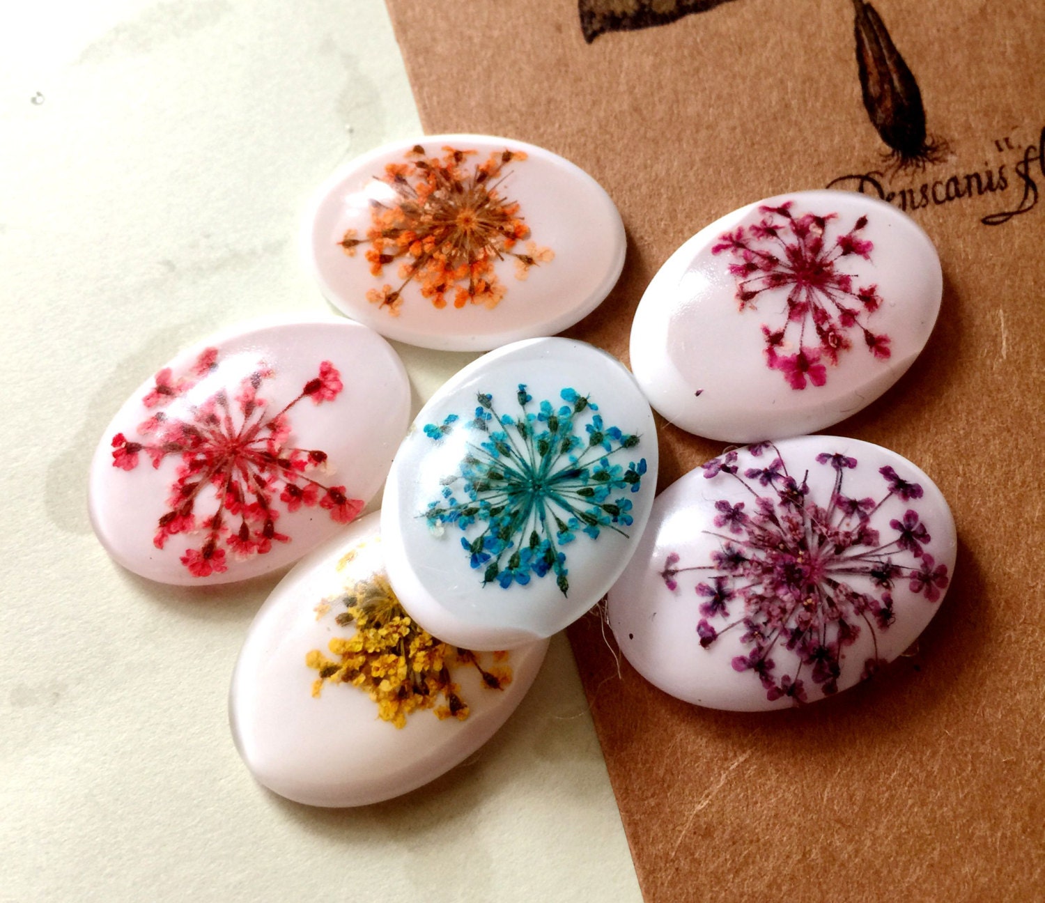 6pcs Handmade Oval 18x25mm Transparent Resin Dipped Pressed