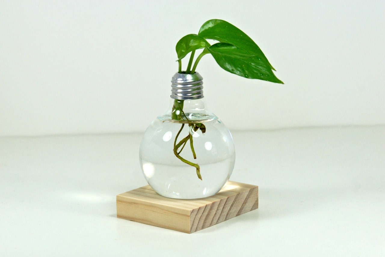 Repurposed Light Bulb Vase with Natural Wood Holder Modern