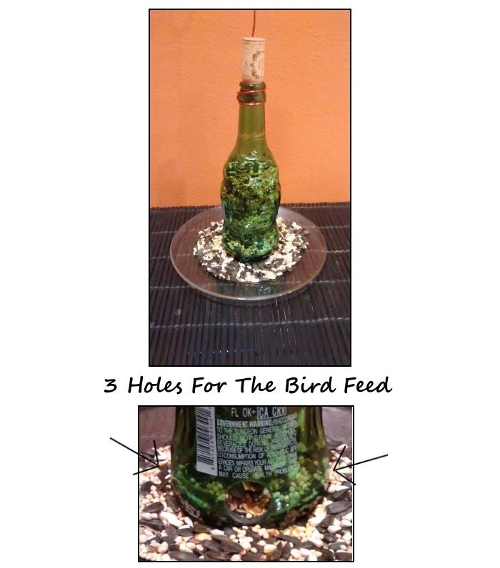 Beer Bottle Bird Feeder Made to order Choose your Beer