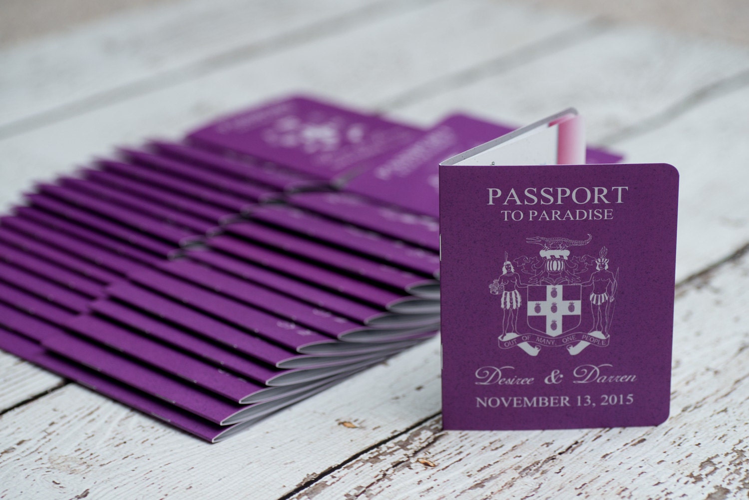 Custom Passport Wedding Invitations 1