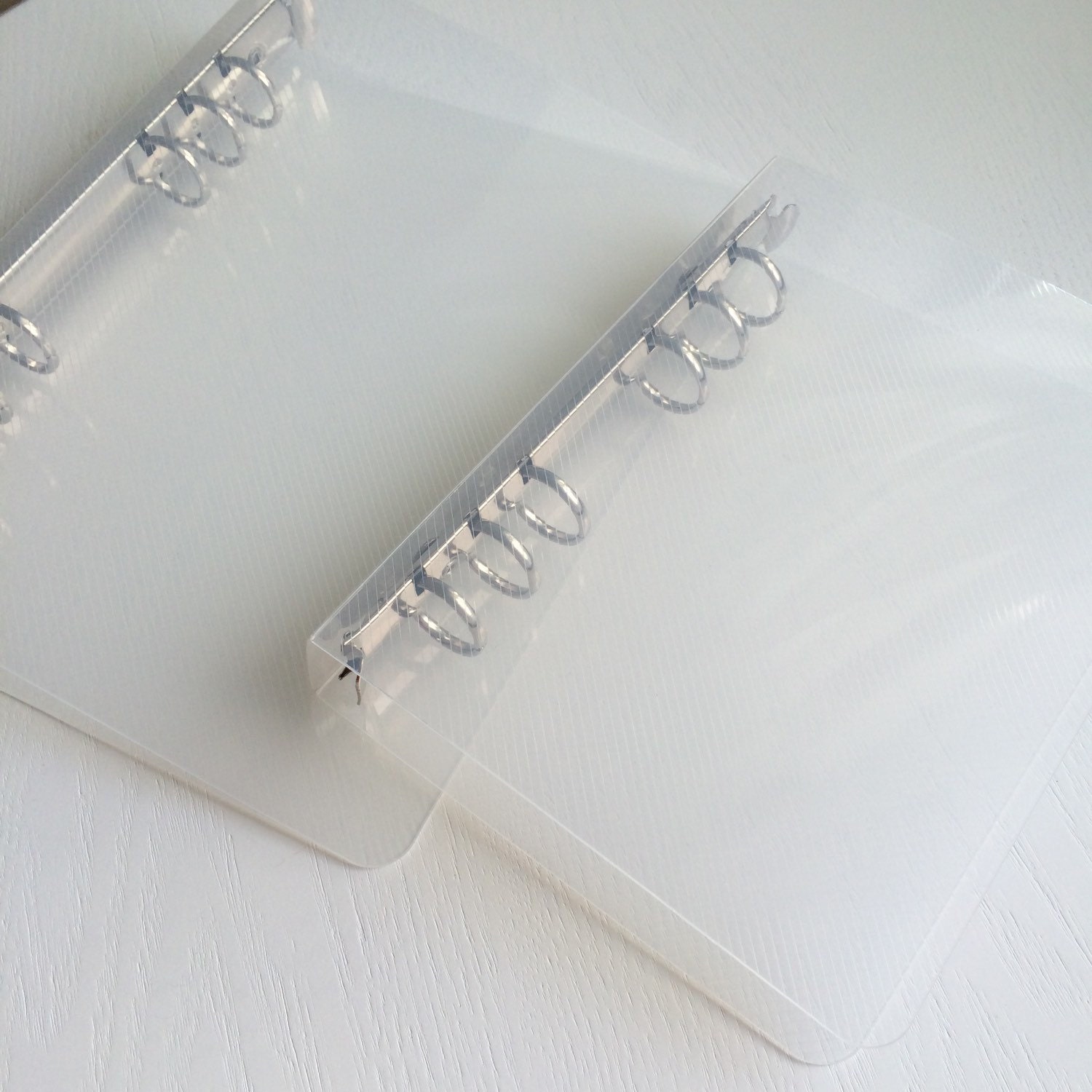 Clear Plastic Ringed Binder Planner