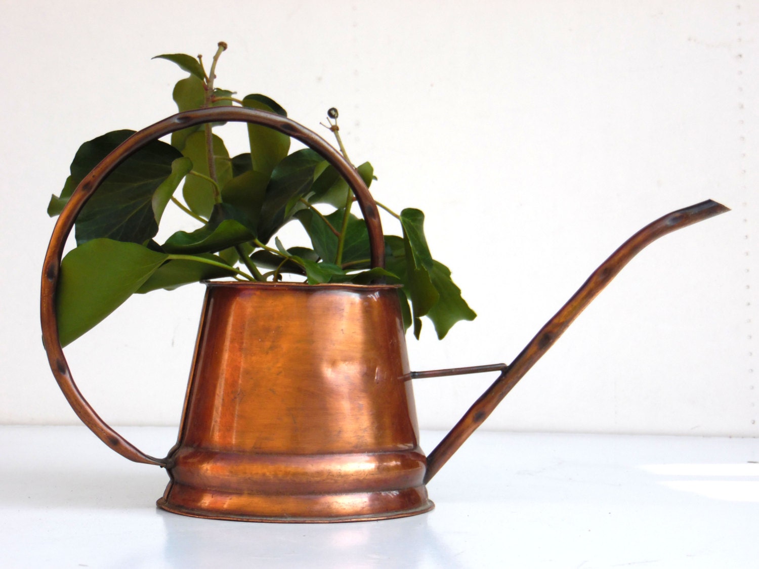 Vintage Copper Watering Can Plants Gardening Home by