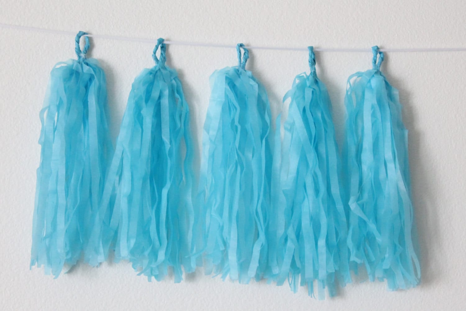 Tissue Paper Tassel Garland DIY KITBlue Party