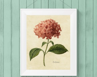 Hydrangea Wall Art hydrangea wall decor | etsy Hydrangea Wall Art hydrangea wall decor | etsy