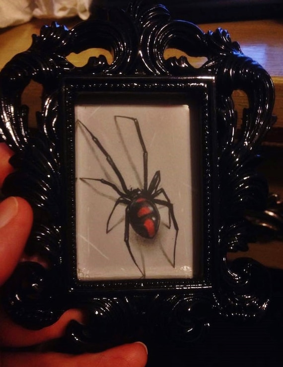Black Widow Spider charcoal drawing realistic by SERartAlot