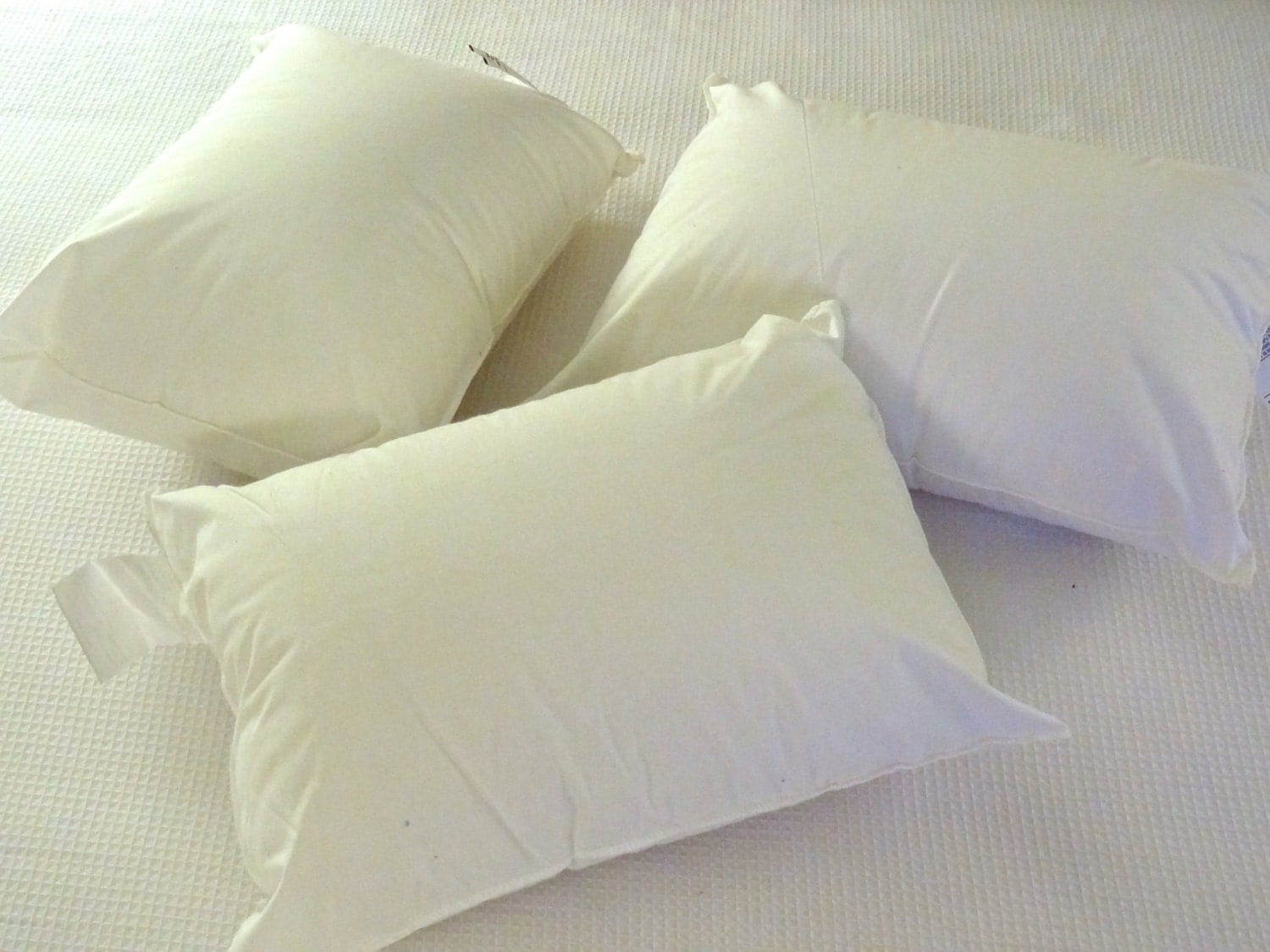 12x16 Pillow Pillow Insert Non Allergenic Travel Pillow