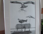 Beach Art Ink Drawing, Honey I'm Home! Black and White Sea Gulls Building a Nest Ocean or Beach Art Beach House Decor Home Decor Birds Nests