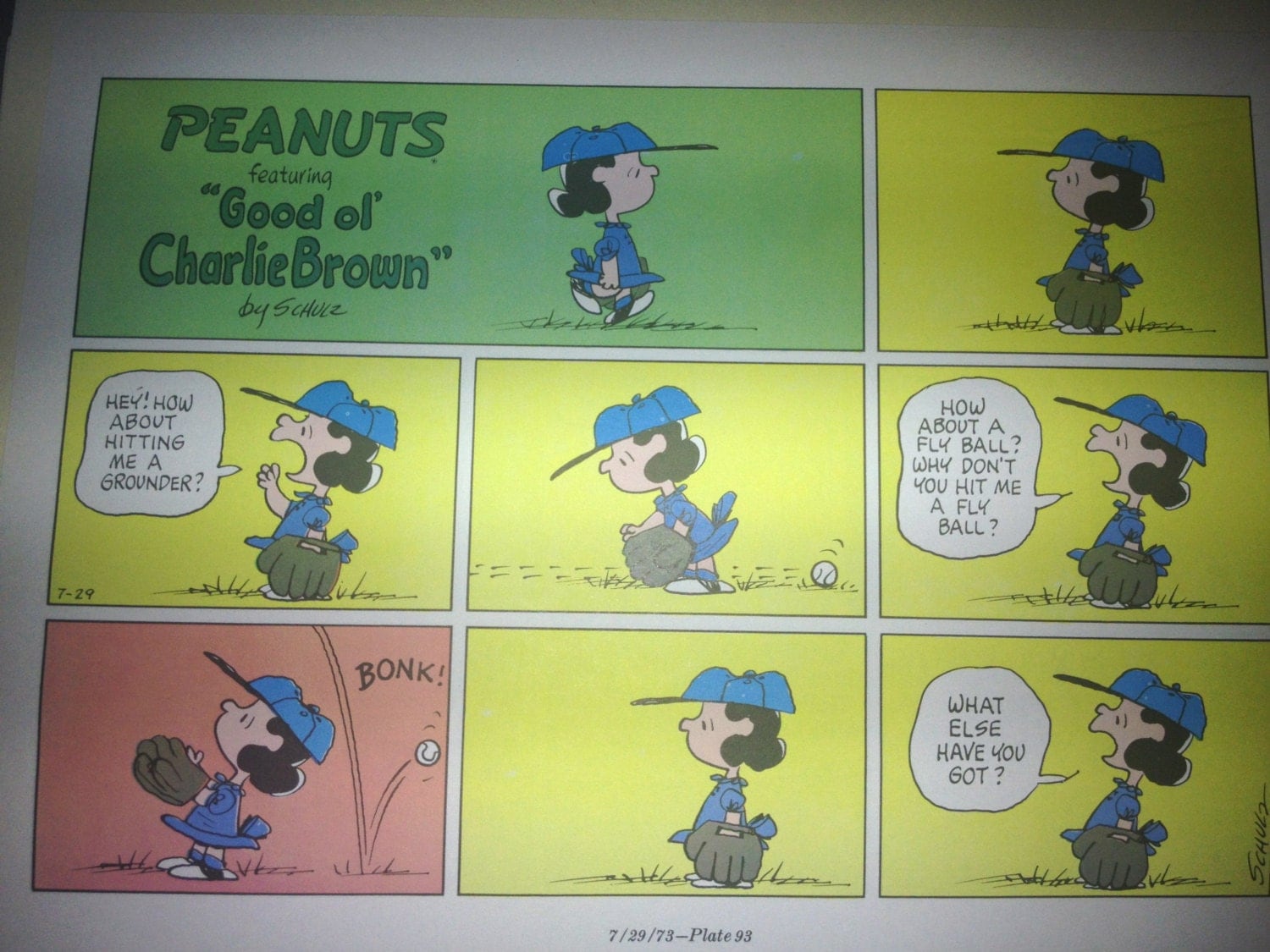 Lucy Baseball Manager Charlie Brown Comic The Peanuts Gang