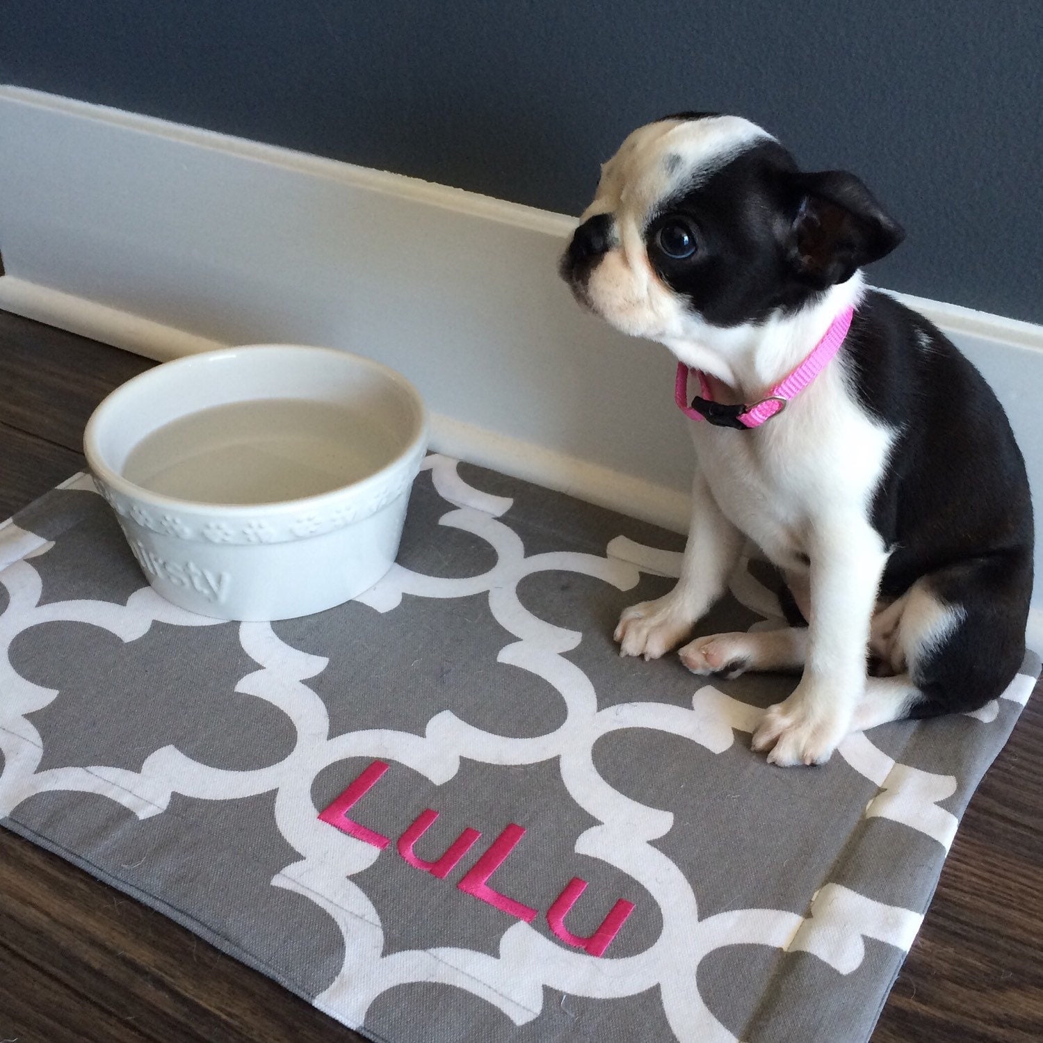 Dog Bowl Mat Personalized Pet Placemat Grey Quatrefoil