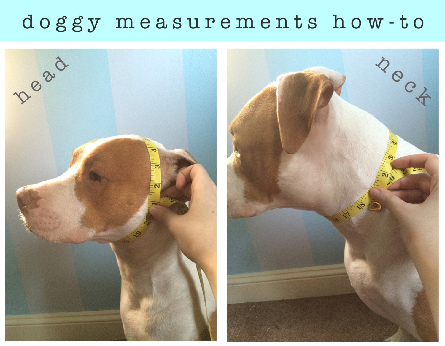 Dog Ear Warmer Hat Crochet Dog Headband Dog Hats for Dogs